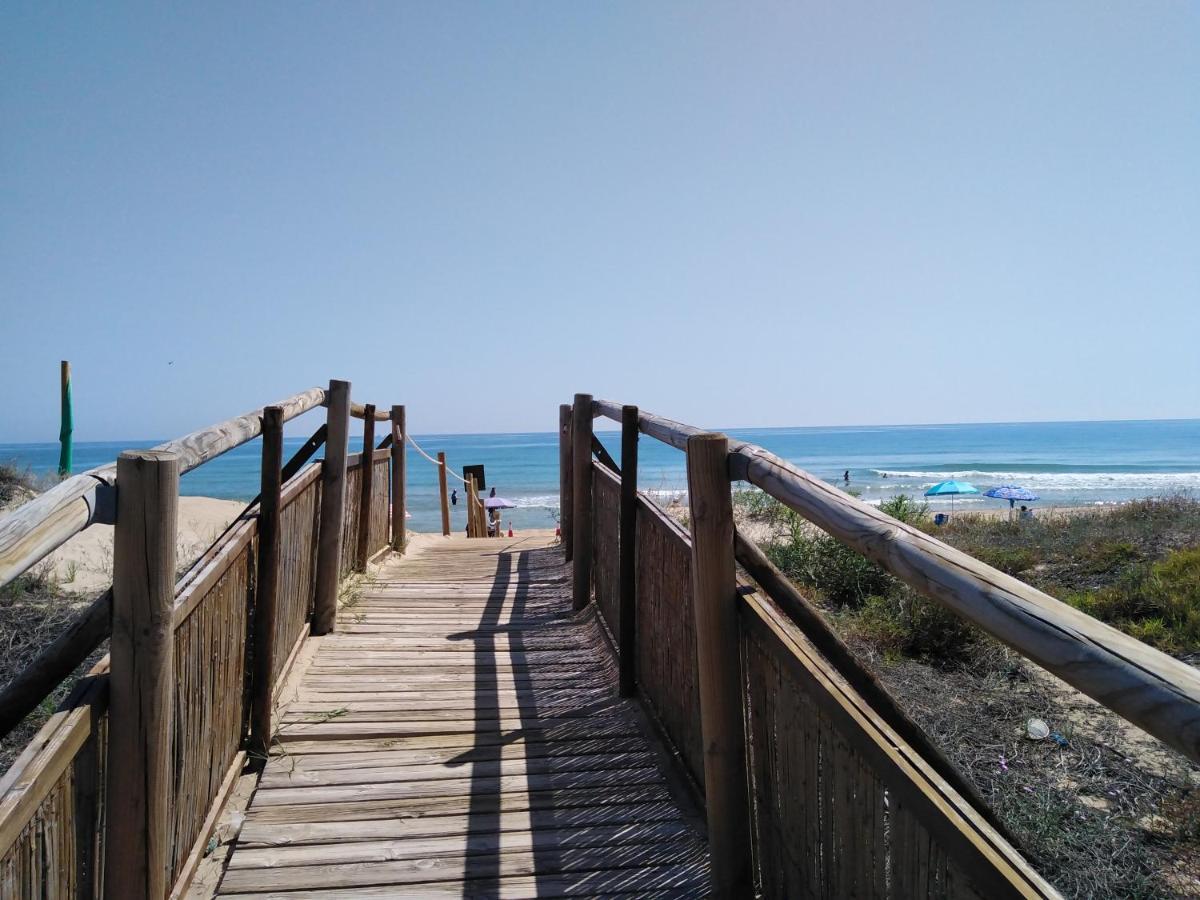 Apartamento Paraiso Beach Daimus Zewnętrze zdjęcie